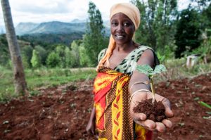 Sharifa Juma digs terraces to stop soil erosion. Credit: Georgina Smith / CIAT