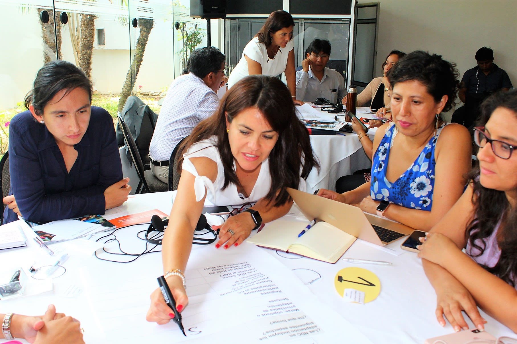 NDC-NAP linkages workshop in Peru.