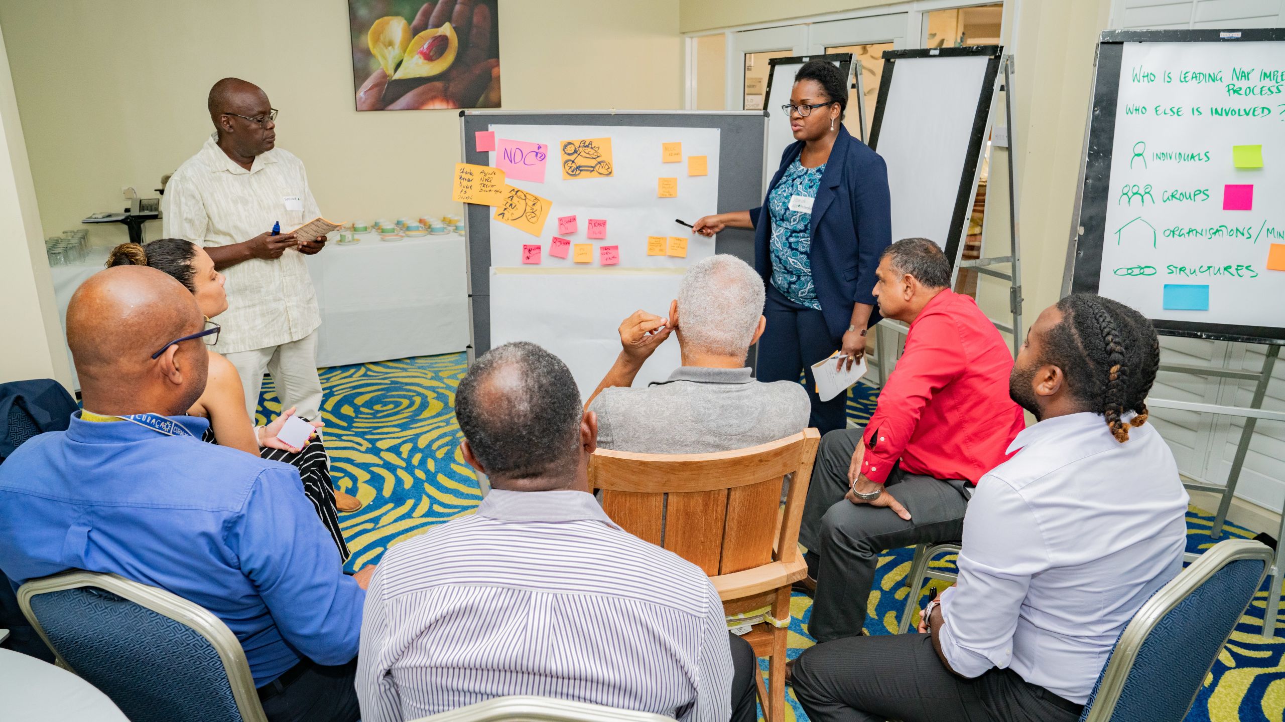 Picture of the NDC-NAP linkages workshop in Grenada.